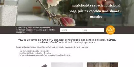 vegetablesandbeans.com preview